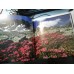 MUNTII RETEZAT - THE RETEZAT MOUNTAINS - Ad Libri MUNTII RETEZAT - THE RETEZAT MOUNTAINS - Ad Libri
